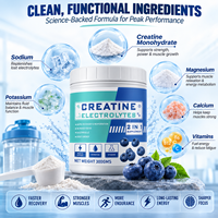 Poudre de créatine et d'électrolytes OEM ODM 2-en-1, supplément nutritionnel sportif saveur myrtille, hydratation et soutien musculaire, boisson pour l'entraînement