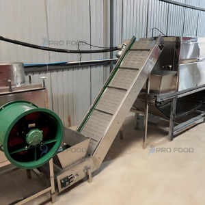 Nueva máquina peladora de ajo de fábrica de alimentos con control inteligente y duradera para línea de producción de ajo - Product Image 6