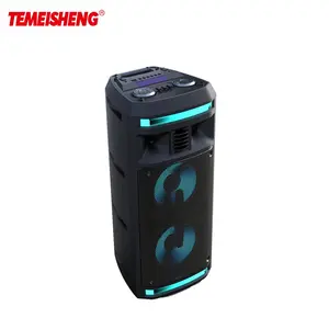2023 Temeisheng modelo privado alimentado Audio dual 6,5 pulgadas partybox 310 batería de energía DJ altavoz portátil con luces LED
