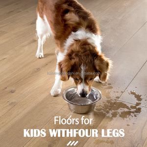 Precio <span class=keywords><strong>de</strong></span> Fábrica, Piso Laminado Antideslizante, Alfombra <span class=keywords><strong>de</strong></span> Plástico con Diseño <span class=keywords><strong>de</strong></span> Madera, Piso SPC Impermeable, Lámina <span class=keywords><strong>de</strong></span> Vinilo LVP - Product Image 2