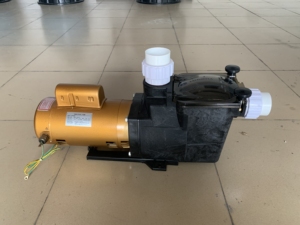 <span class=keywords><strong>Pompe</strong></span> à eau de <span class=keywords><strong>piscine</strong></span> 220V/50Hz/<span class=keywords><strong>1</strong></span>.5HP de haute qualité - Product Image 3