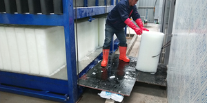 Chambre froide pour blocs de glace de 10 tonnes avec unité de compresseur - Product Image 6