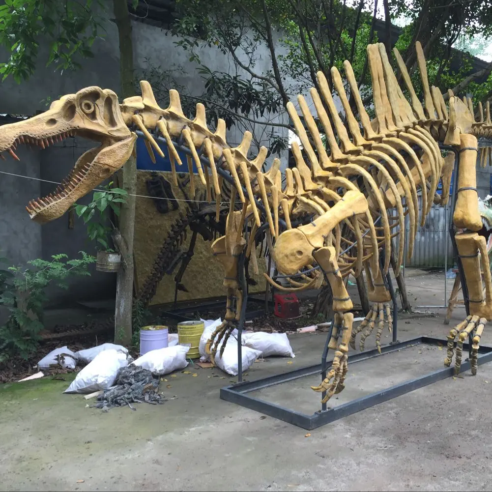 Fosil TAMAN DINOSAURUS Real t-rex Skeleton untuk Museum Exhibition