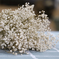 Hete Aanbieding Fabrieksuitverkoop Gedroogde Baby's Adem Gypsophila Bloemen Miljoenen Sterren Bouquet voor Bruiloft/Huisdecoratie