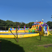 Toboganes de Agua Inflables Alibaba, Castillo Inflable con Tobogán de Agua, Tobogán de Agua Inflable para Alquilar