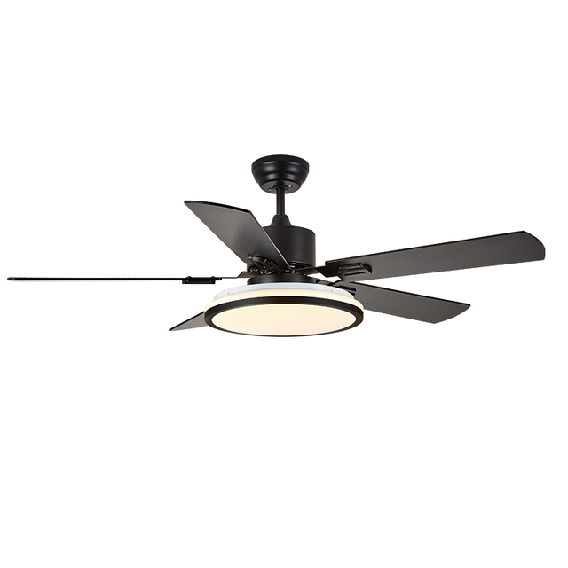 Wholesale Modern Design 110V 220V AC DC Fans Remote Control 52 Inches 5 Blades Black Ceiling Fan Light
