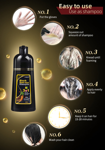 Bajo MOQ Oem Label Fast 3 en 1 Ginger Herbal Care Lavado suave Natural Tailandia Orgánico Japonés Marrón negro Tinte para el cabello Champú - Product Image 3