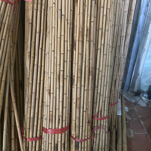 <b>Garden</b> & Nursery Stakes | Custom Bamboo <b>Canes</b> | Wholesale | Treated - Product Image 6
