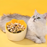 Bol en céramique anti-renversement pour chat et chien, avec bord incliné pour protéger le cou