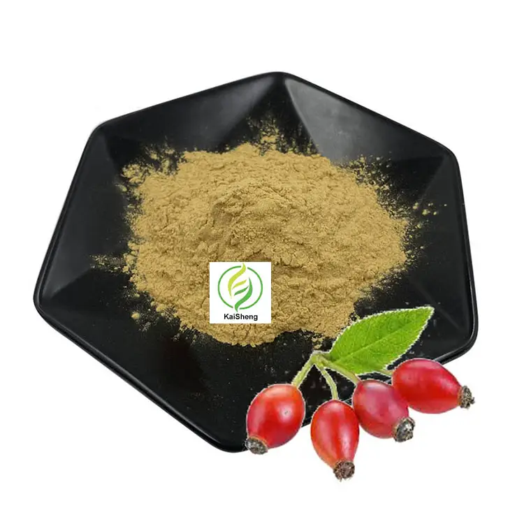 Wholesale Flavone 50% Rose Hip Fruit Extract Powder Rose Hip Extract