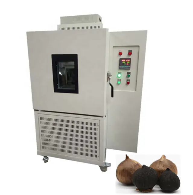 Hot Sale black garlic fermenter machine/Black Garlic Fermenting fermentation Machine Price