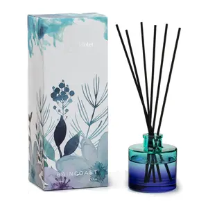 Diffuser 100ml RAINCOAST Customize Fragrance 100ml Reed Mini Diffuser Tinted Bottle Aroma Diffusers Wholesale