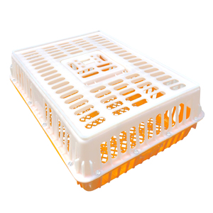 HDPE plástico <span class=keywords><strong>paloma</strong></span> pollo transporte caja aves de corral cajas de transporte - Product Image 6