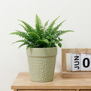 Pot en céramique martelé vert sauge mat, style minimaliste nordique, pour plantes d'intérieur, décoration de la maison - Product Image 5