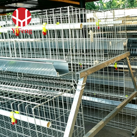 Système de cage d'élevage de type A pour l'élevage de poussins avec alimentation automatique, équipement commercial pour ferme avicole, vente en gros