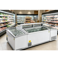 Congélateur coffre commercial en gros avec éclairage LED, contrôle numérique, dégivrage automatique, faible bruit, congélation rapide et roulettes