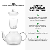 Teko Teh Kaca dengan Infuser Kaca 600ml / 20.49oz, Terbuat dari Kaca Borosilikat Bening untuk Teh Hijau, Teh Herbal, Meja Kantor, Rumah