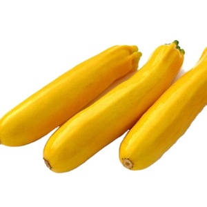 <span class=keywords><strong>Courgettes</strong></span> tranchées <span class=keywords><strong>surgelées</strong></span> SD IQF Zucchini à des prix compétitifs - Product Image 5