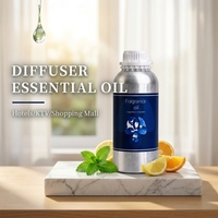 Huile essentielle de menthe fraîche, huile parfumée pour diffuseur d'arômes, huile de recharge parfumée à la menthe pour diffuseur, aromathérapie pour la maison et le bureau