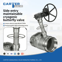 Válvula de Mariposa Criogénica Mantenible en Línea 304L 316L, Tipo Lug y Soldadura a Tope, a Prueba de Explosiones Exd, con Tapa Extendida, para Agua, Certificación ATEX
