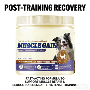 Suplemento Multifuncional de Alta Calidad para Recuperación Post-Entrenamiento, con Logotipo de Marca Personalizado, para Perros de Caza Noruegos - Product Image 5