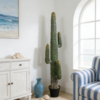 Plante artificielle de cactus tropical succulente en plastique durable, haute simulation, décoration intérieure pour cérémonie de remise de diplôme, mariage, cactus