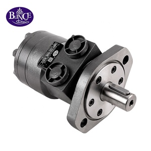 มอเตอร์ไฮดรอลิกวงโคจร250 200สำหรับถนนซีรีส์ H 101-1026-009 omph bmph 50 80 100 125 160 - Product Image 3