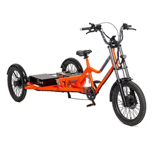 Bicicleta eléctrica de 3 ruedas de 7 velocidades, triciclo eléctrico de carga con motor de 48V 1000W, batería de litio de 48V 52.5Ah
