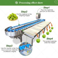 Automatische fruit- en vis sorteermachine (appel, sinaasappel, aardappel) op basis van gewicht en formaat.