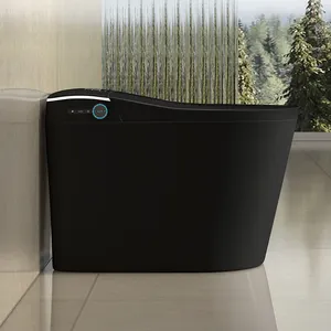 New Design Warm Heating Ceramic Automatic WC Electronic Control Intelligent Toilet Black Smart Toilet