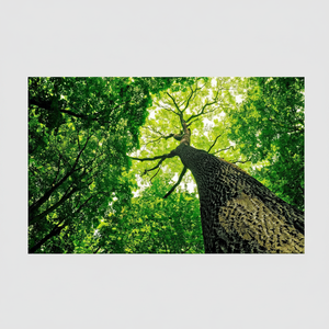 Elegant Boho Decor: Printed Canvas Wall Art for Modern Living,<b>WRAPPED</b> CANVAS - Product Image 2