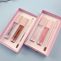 Kit de Lèvres Tube Transparent Vegan 3 en 1 Étanche Brillant Mat Brillant Hydratant Brillant Crémeux Brun Longue Durée Ensemble de Crayon à Lèvres