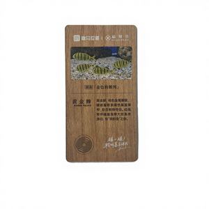Tarjeta NFC de 13.56MHz con Chip NTAG213/216, Mini Etiqueta Impermeable, Tarjeta de Madera para Negocios, para Membresías y Pagos en Hoteles - Product Image 1