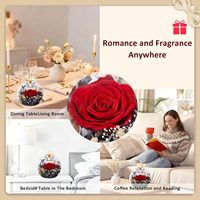 Idées de nouveaux produits 2026 : Rose éternelle préservée dans un dôme en verre avec bougie parfumée pour la Saint-Valentin, la fête des mères
