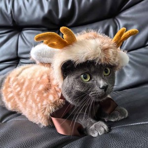 Venta al por mayor de ropa navideña de poliéster para mascotas, capa de alce, disfraz de lana para perros y gatos, sombrero, atuendo festivo OEM para todas las estaciones - Product Image 2