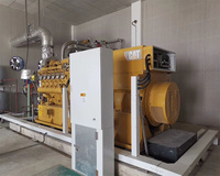 Haute qualité 1mw 1.2Mw 1200Kw industriel robuste moteur CG170-12 biogaz méthane usine à gaz générateur sans carburant groupe électrogène