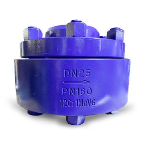 <span class=keywords><strong>Valvola</strong></span> <span class=keywords><strong>di</strong></span> scarico a galleggiante TD16 FT14 <span class=keywords><strong>di</strong></span> alta qualità per vapore e acqua, prodotta da Metal Valve Factory - Product Image 4