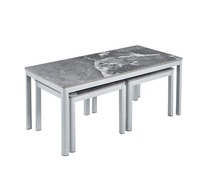 Table basse moderne de style 2026, nouvelle conception, gain de place, ensemble de 2 tables basses pour l'exposition d'objets décoratifs, de cadres photo ou de plantes en pot