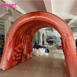 2020년 신형 대형 인플레이터블 대장, 대장암 과학 박람회용 - Product Image 6