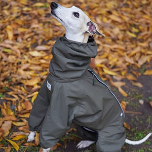 Qiqu personnalisé résistant à l'eau chien veste moderne solide extérieur imperméable <span class=keywords><strong>pour</strong></span> italien lévrier <span class=keywords><strong>Whippet</strong></span> nouveau concepteur fournitures <span class=keywords><strong>pour</strong></span> animaux <span class=keywords><strong>de</strong></span> compagnie - Product Image 3