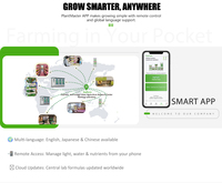Kit de agricultura hidropónica de interior familiar para una vida saludable