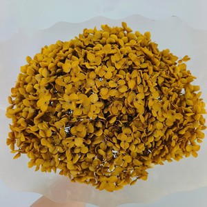 Vente d'usine : <span class=keywords><strong>Fleurs</strong></span> d'<span class=keywords><strong>hortensia</strong></span> vert foncé <span class=keywords><strong>stabilisées</strong></span>, faites à la main, au toucher réel, préservées pour la décoration intérieure, longue durée (3-5 ans) - Product Image 3