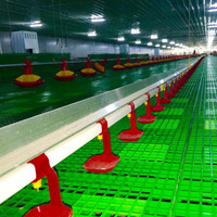 Système d'abreuvement automatique par tétine pour poulets, équipement complet pour élevage de poulets de chair