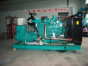 312.5kva 250KW NT855 Natural Gas/<strong>Biogas</strong> <strong>Generator</strong> Set Excitation Type Brushless Fuel Syngas/Biomass Gas - Product Image 2
