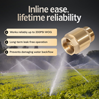 Clapet anti-retour à ressort en laiton de 1 pouce pour système d'irrigation et ligne de pompe de surpression avec débit unidirectionnel stable