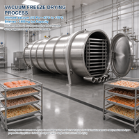 FFD-150 Grote Industriële Vriesdroogmachine Capaciteit Vacuüm Lyofilisator voor Voedsel Fruit Groente Vlees Huisdierenvoer