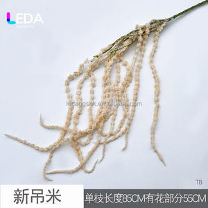 Flores Secas de Amaranto Naturales de Alta Calidad LEDA, Amaranto Colgante para Decoración del Hogar y Ramos de Boda - Product Image 6