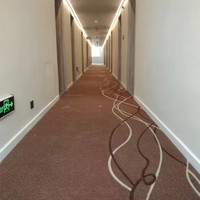 Tapis en peluche à chaîne étoilée, fabriqué à la machine, antidérapant et ignifuge, pour hôtels, chambres privées et couloirs