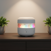 Diffuseur d'air à lampe de sel de l'Himalaya, brume froide, diffuseur d'arômes ultrasonique avec haut-parleur musical, fabrication