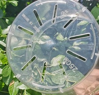 Ventes chaudes 2023 - Pots à fleurs transparents pour orchidées avec trous respirants, écologiques, durables, en plastique, pour jardin